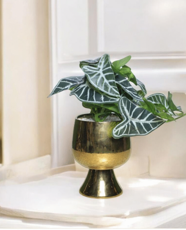 ARTIFICIAL POTTED PLANT - 36647
