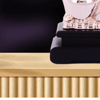 EXCLUSIVE FIGURE - 30820 - Image 2