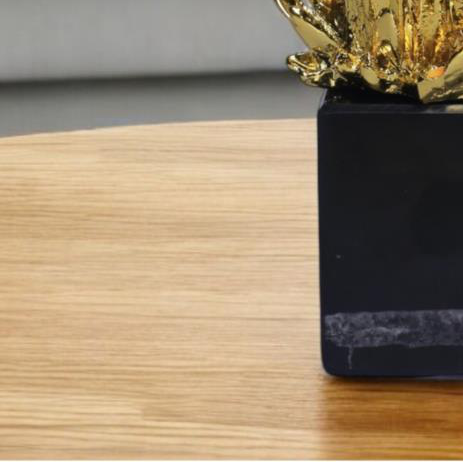 FIGURE 1 - 37039 - Image 2