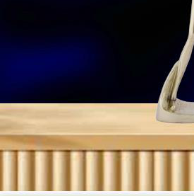 FIGURE 2 - 30855 - Image 2