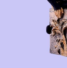 FIGURE 2 - 31144 - Image 2