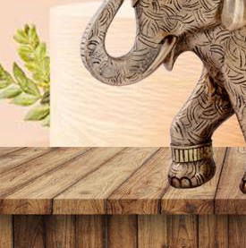 FIGURE 2 - 31177 - Image 2