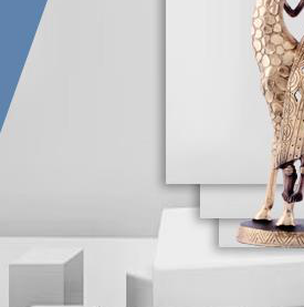 FIGURE 2 - 31334 - Image 2