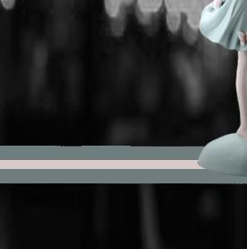 FIGURE 2 - 31541 - Image 2