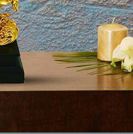 EXCLUSIVE FIGURE - 8892 - Image 3