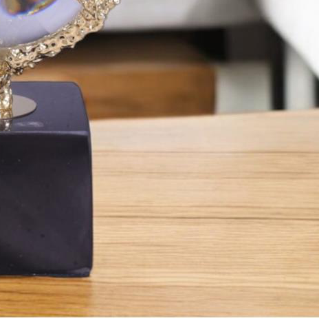 FIGURE 1 - 37057 - Image 3