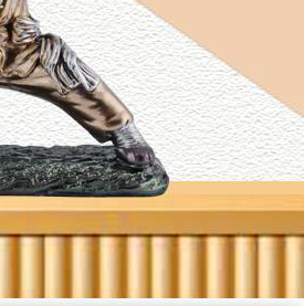 FIGURE 2 - 30862 - Image 3