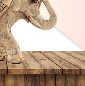 FIGURE 2 - 31171 - Image 3