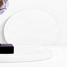 FIGURE 2 - 31217 - Image 3