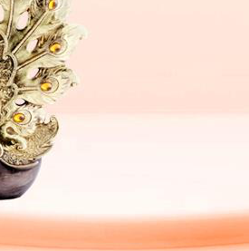 FIGURE 2 - 31273 - Image 3