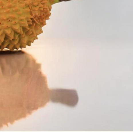 ARTIFICIAL VEGETABLE, FRUIT, BREAD - 36753 - Image 3