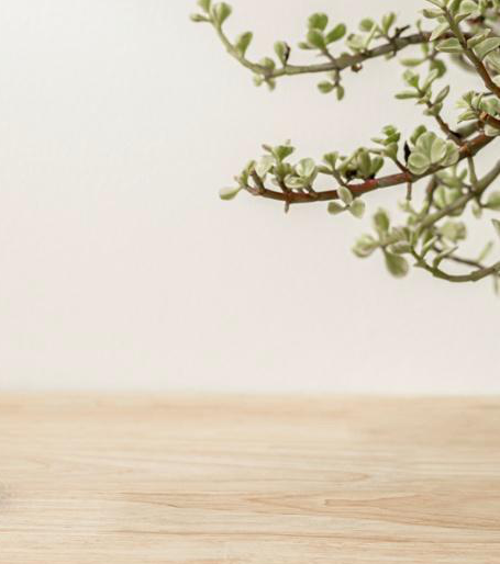 CANDLE STAND - 26756 - Image 3