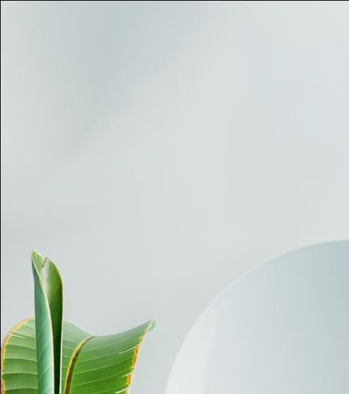 METAL BOWL - 27285 - Image 2