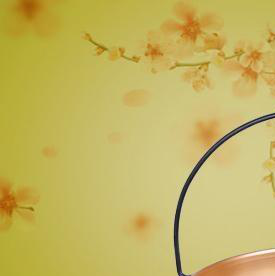 METAL BOWL - 20905 - Image 2