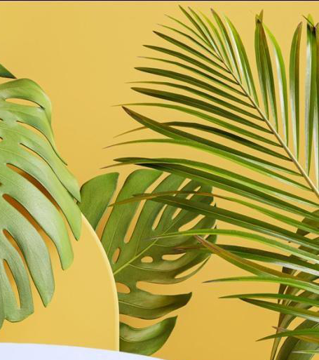 METAL BOWL - 29214 - Image 3