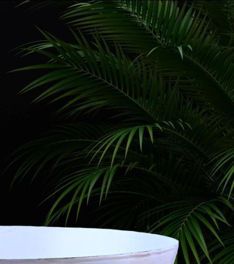 METAL BOWL - 29228 - Image 3