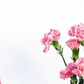 METAL DECOR 1 - 24462 - Image 3